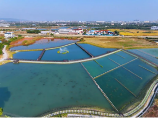 圖片關(guān)鍵詞 圖片關(guān)鍵詞