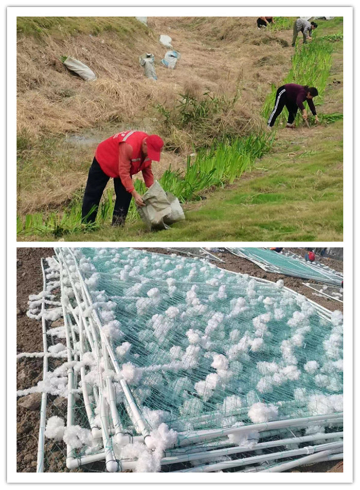 圖片關(guān)鍵詞 圖片關(guān)鍵詞