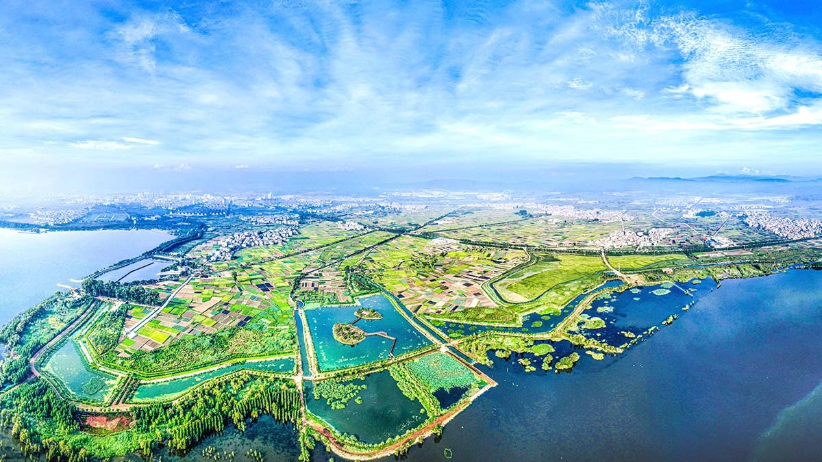 星云湖南岸濕地、湖濱帶提質(zhì)改造工程