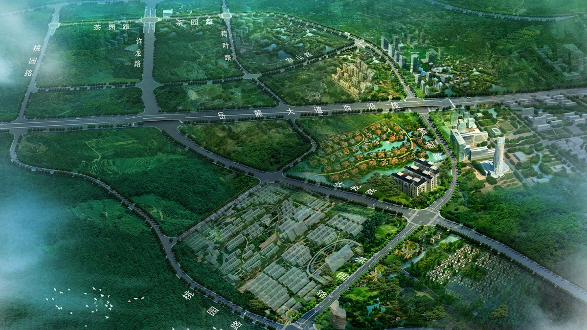 桐寧路、茶園路道路工程