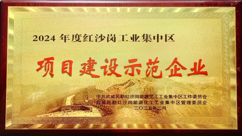 高效履約樹標(biāo)桿！中機(jī)國際被評(píng)為民勤紅沙崗工業(yè)區(qū) “2024年度項(xiàng)目建設(shè)示范企業(yè)”