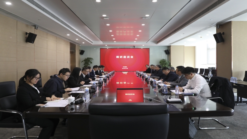 國機(jī)集團(tuán)外部董事一行調(diào)研中機(jī)國際