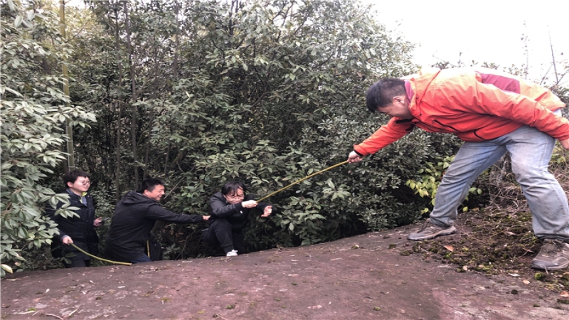 【致敬可愛中機人】為光明接力的攀登者